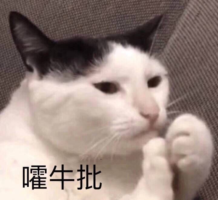 猫表情包