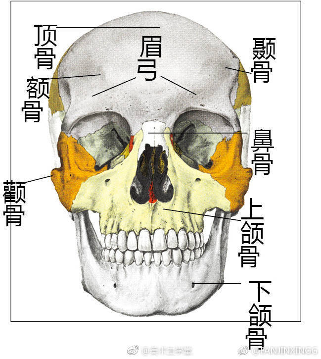 素描