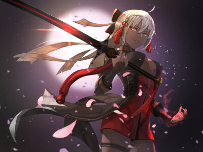 Fate 总司Alter