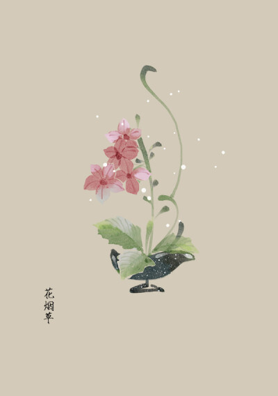 〔手绘花卉〕绘师：artistic青尘