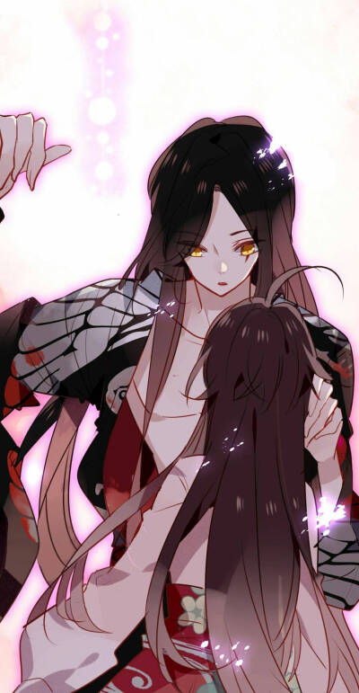 嗷小泽 吾凰在上