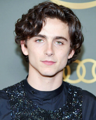 ☄Timothée Chalamet