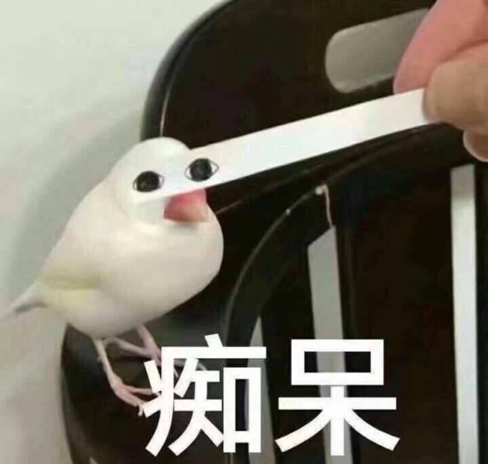 表情包