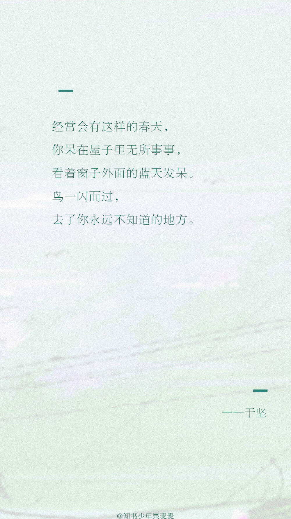 春天是只柔软的泰迪熊