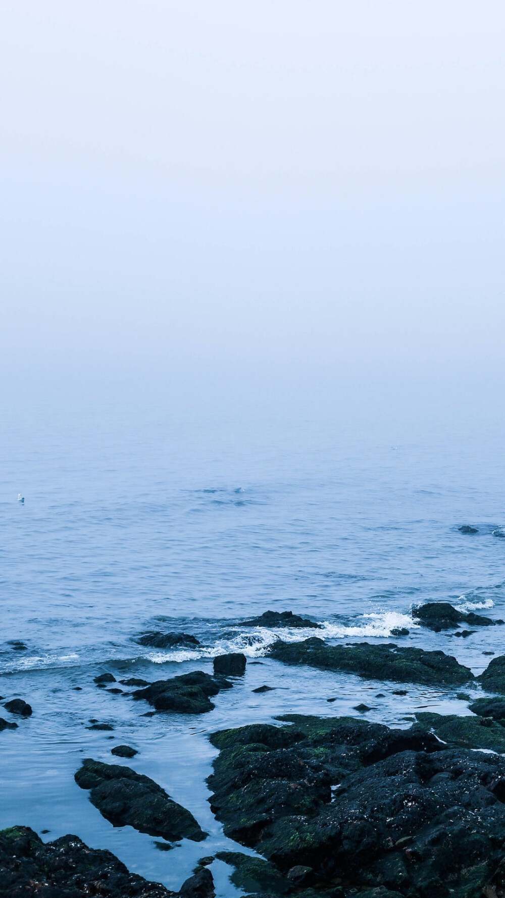 海 壁纸 纯色