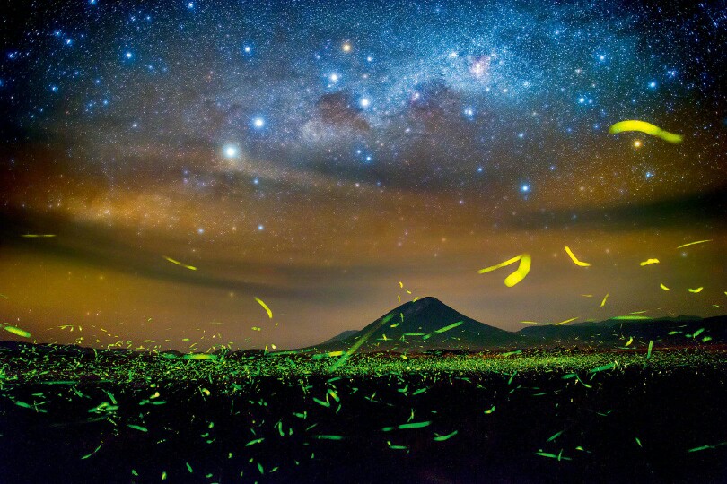 坦桑尼亚纳特龙湖萤火虫