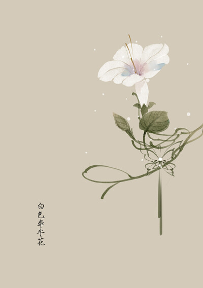 〔手绘花卉〕绘师：artistic青尘