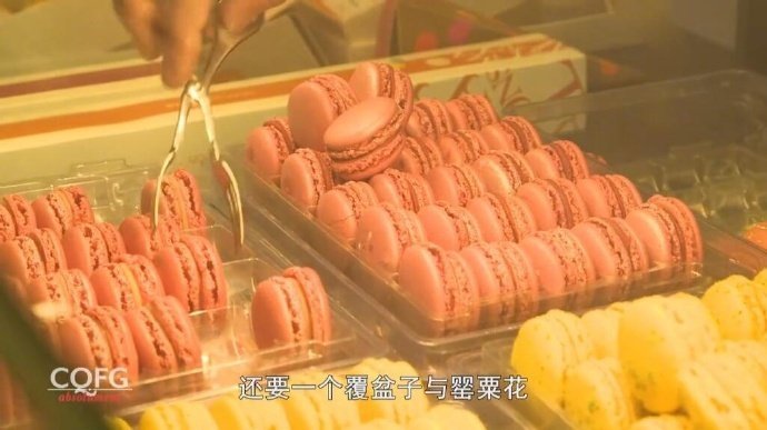 【美食纪录片：舌尖上的法国】全10集，跟随主持人全面了解法国悠久的美食文化，从火腿、熟肉酱、牛肉、鹅肝酱，牡蛎、扇贝、龙虾等主食，到马卡龙、巧克力、可露丽、果酱、芝士等法国甜点，精致的法兰西美食，幸福的法国农民！！B站：【美食节目】舌尖上的法国 10集全【熟肉 超清】