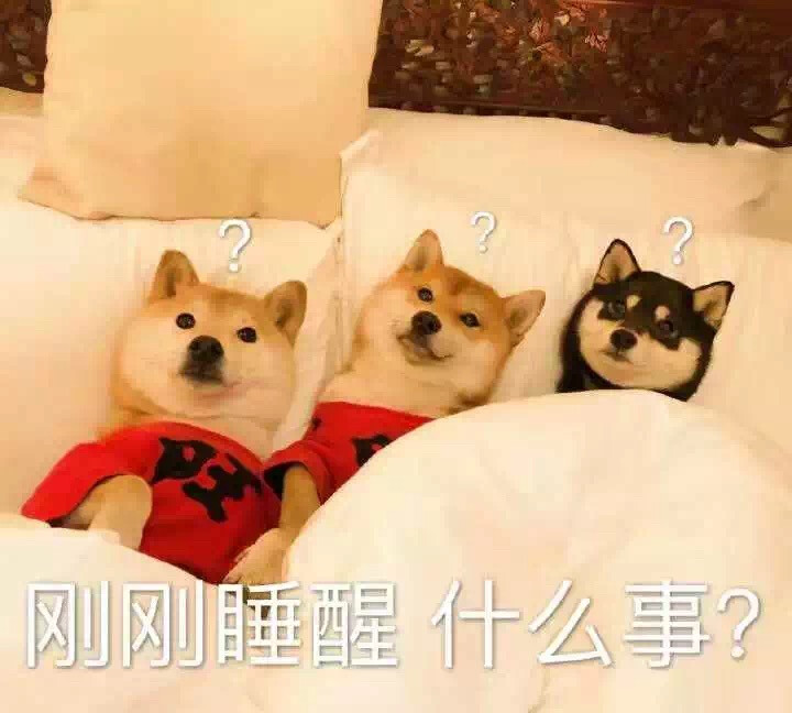 #狗狗的心里话#你到外面是不是有狗了