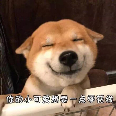 #狗狗的心里话#你到外面是不是有狗了