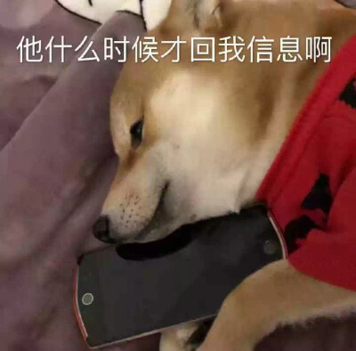 #狗狗的心里话#你到外面是不是有狗了