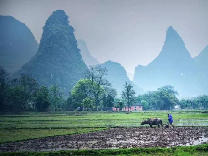 桂林的春天 美成了水彩画：苍苍森八桂，兹地在湘南，江作青罗带，山如碧玉篸。桂林山水一直都有“甲天下”之美，关于桂林，大家都不陌生，但其实呢，90%的人只领略了桂林10%的美。