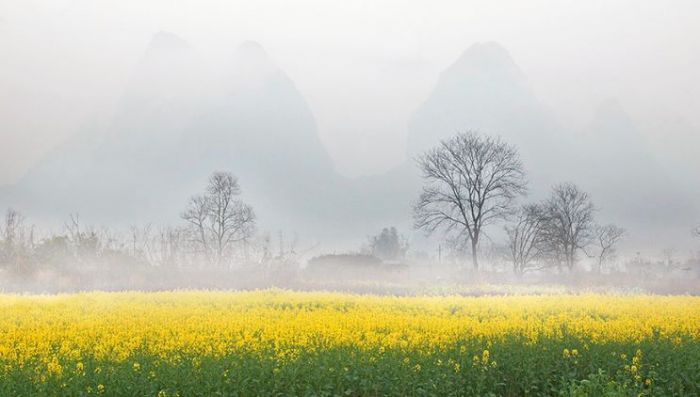 桂林的春天 美成了水彩画：苍苍森八桂，兹地在湘南，江作青罗带，山如碧玉篸。桂林山水一直都有“甲天下”之美，关于桂林，大家都不陌生，但其实呢，90%的人只领略了桂林10%的美。