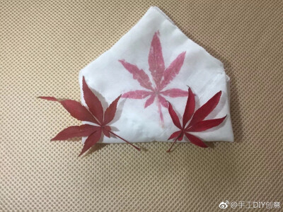 草木染DIY:鲜花烙在手帕上