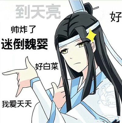 人渣反派自救系统 沈清秋 洛冰河情头
魔道祖师 蓝忘机 魏无羡情头