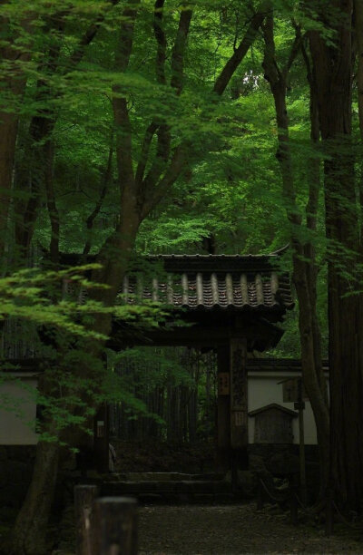 芳草满园花满目，帘外微微，细雨笼庭竹 …