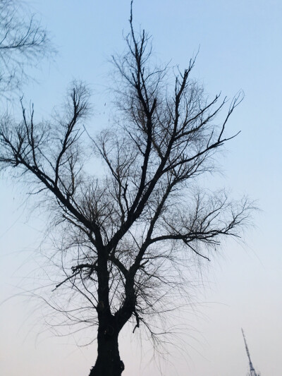 存了好久的照片