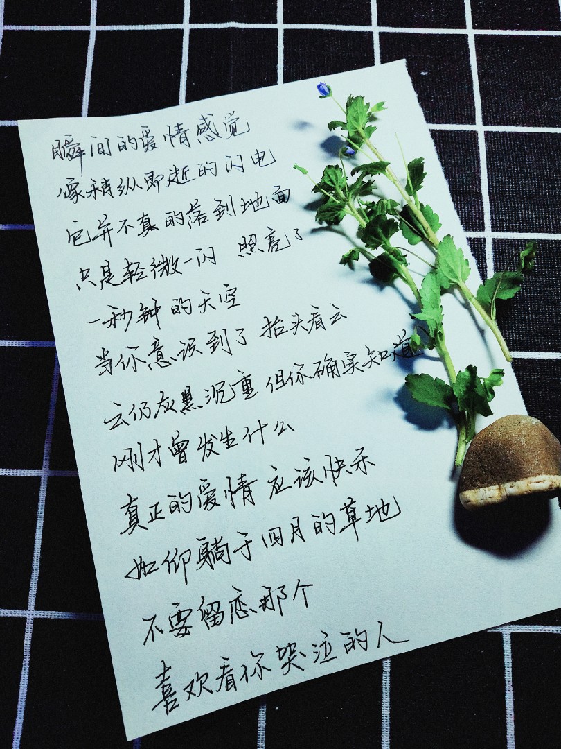 我第一眼看到林婉瑜还以为是爱情公寓里面的宛瑜 "67蝉声扬起 进入