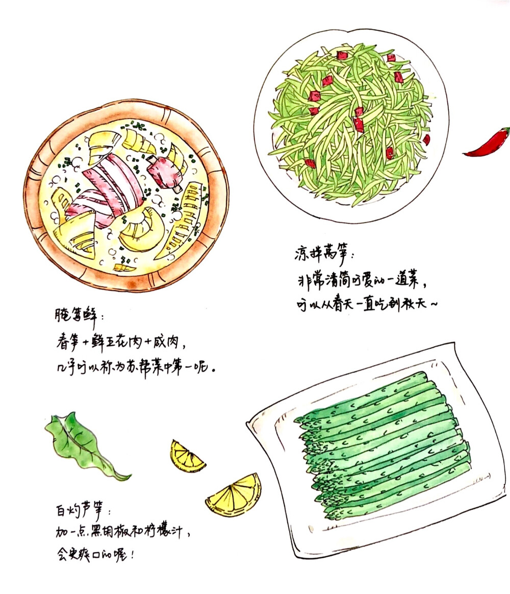 食材手帖手绘