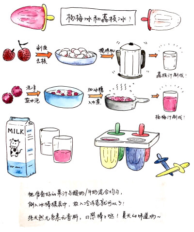 食材手帖手绘