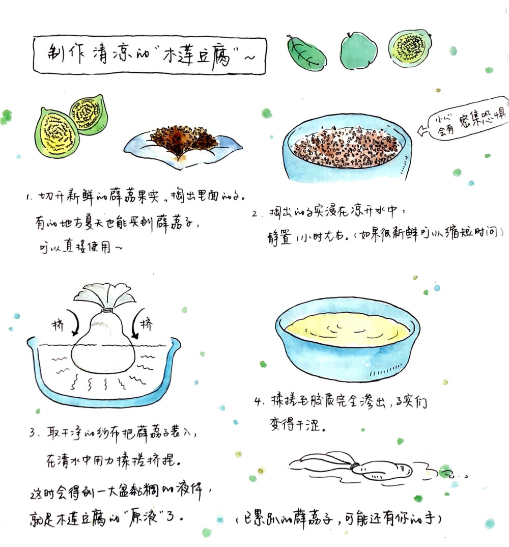 食材手帖手绘