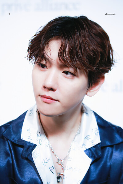 BAEKHYUN 边伯贤