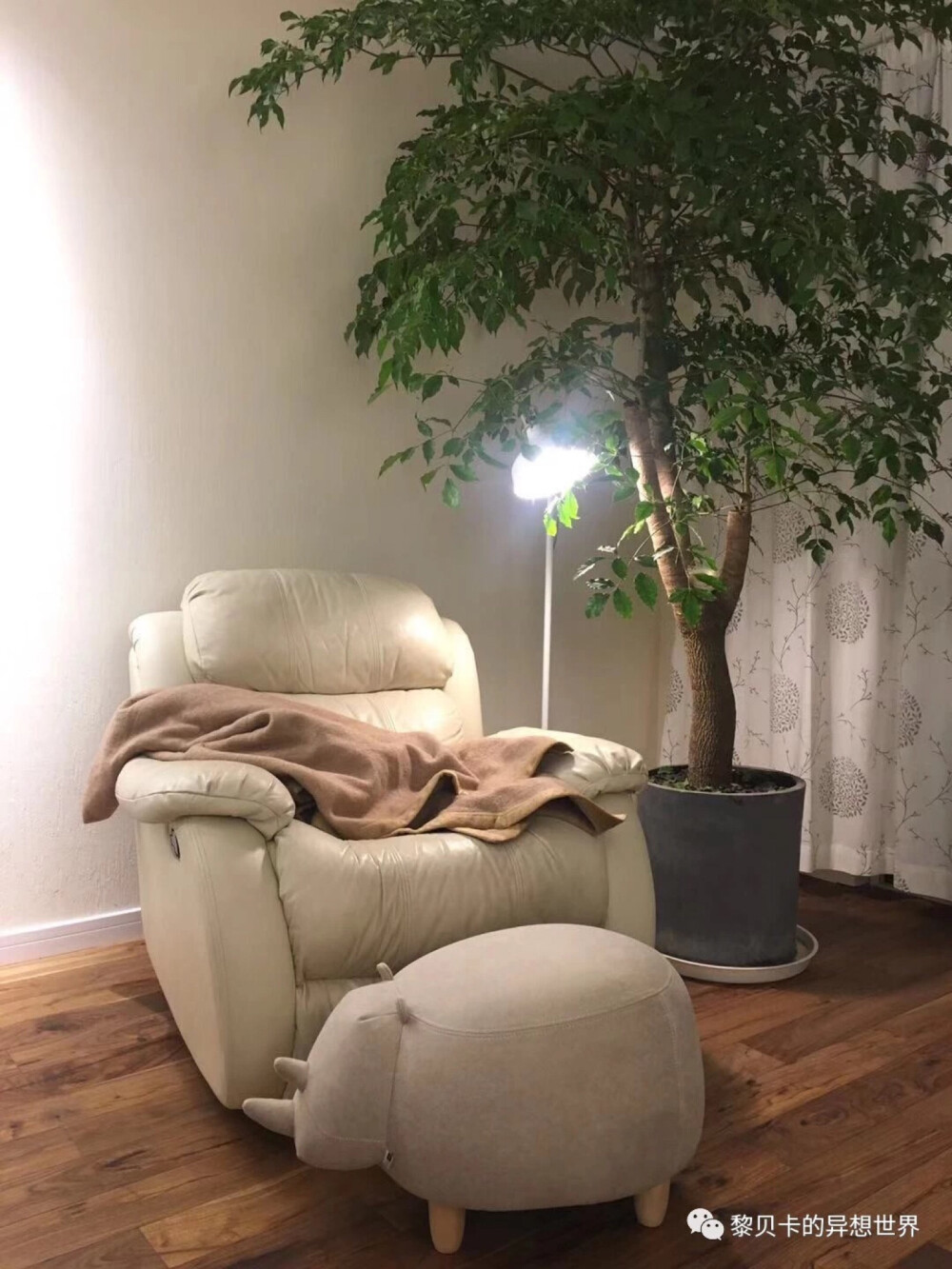 布置温馨小角落其实很简单，一个沙发，一盏灯，一盆绿植，加上一个毯子