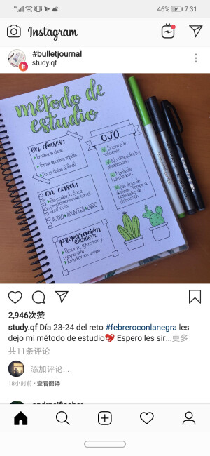 bujo