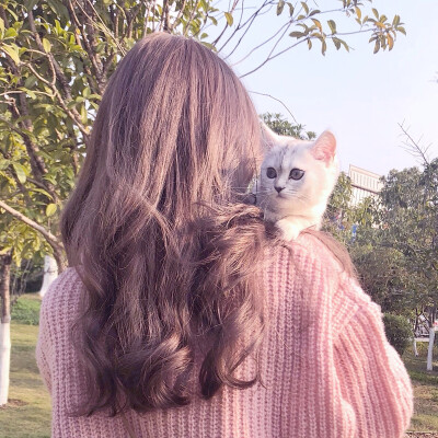 二传注明 顾诗恬