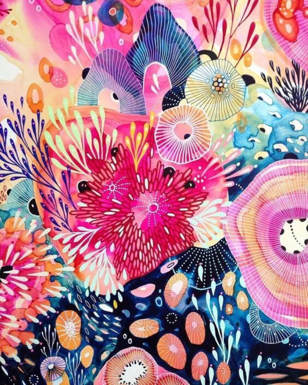 五彩斑斓的海洋世界。