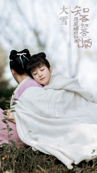 赵丽颖 . 知否知否