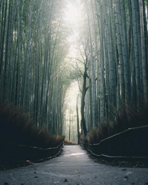 “我在黃昏的血色中踽踽獨行，感到自己不過是這個憂鬱的黃昏大地上一粒微不足道的塵埃。”—— 凱魯亞克《在路上》 pic Taro Moberly