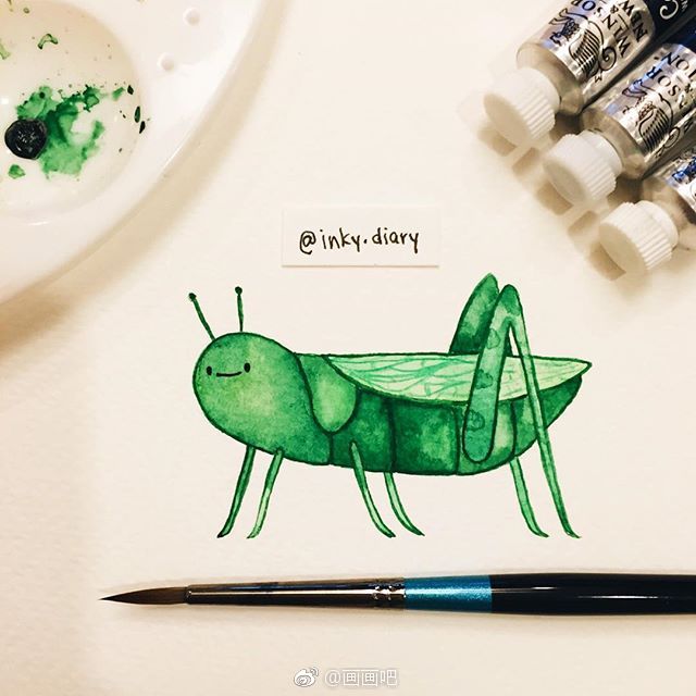 小清新动物小可爱们~ ins：inky.diary