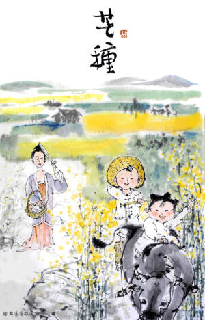 玖丨  芒种


▲  最乡，最香

