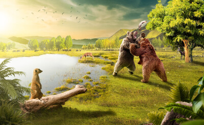 群练-《一条鱼引发的争斗》锦衣卫作品