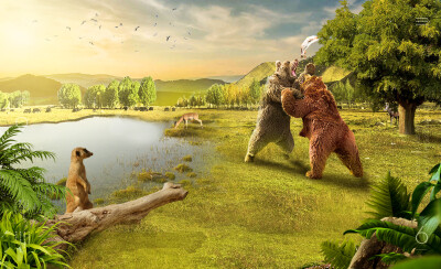 群练-《一条鱼引发的争斗》锦衣卫作品