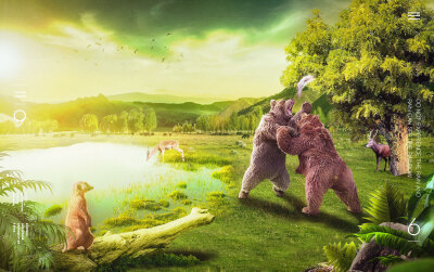 群练-《一条鱼引发的争斗》锦衣卫作品 猜猜哪张是我的