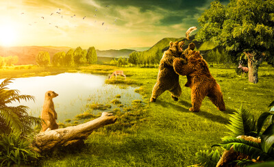 群练-《一条鱼引发的争斗》锦衣卫作品