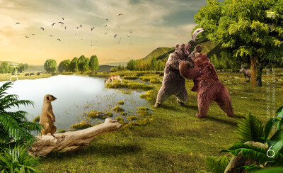 群练-《一条鱼引发的争斗》锦衣卫作品