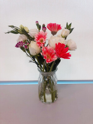 太阳花+玫瑰+桔梗+康乃馨