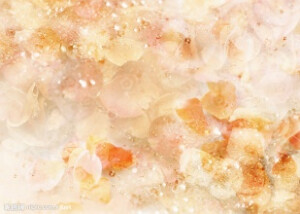 背景图，，，，，