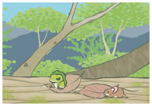 青蛙