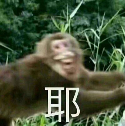 是时候该晾一晾我表情包了