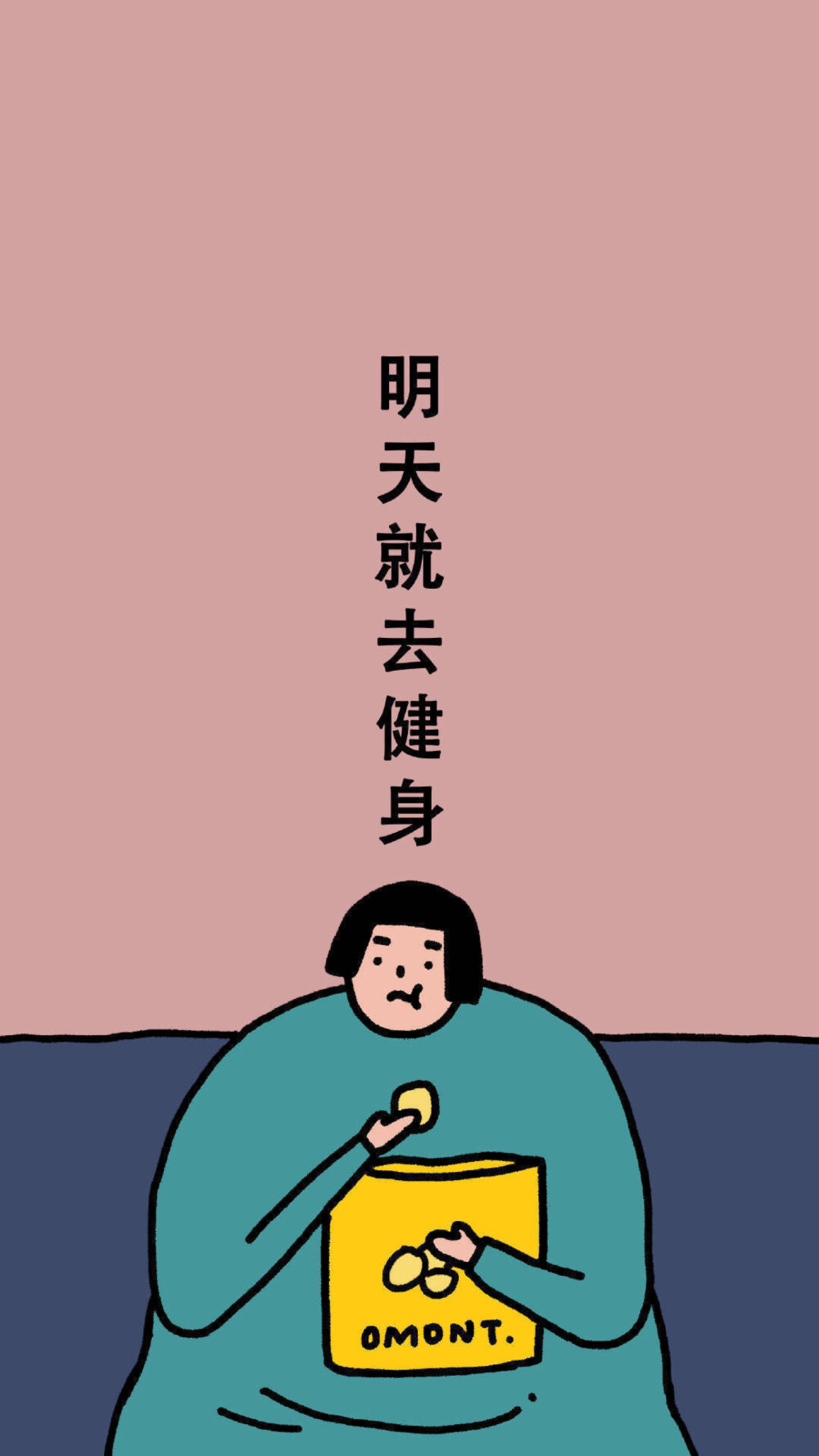 胖胖 网络