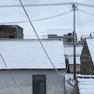 今年春节下雪了❄️
是一个好年