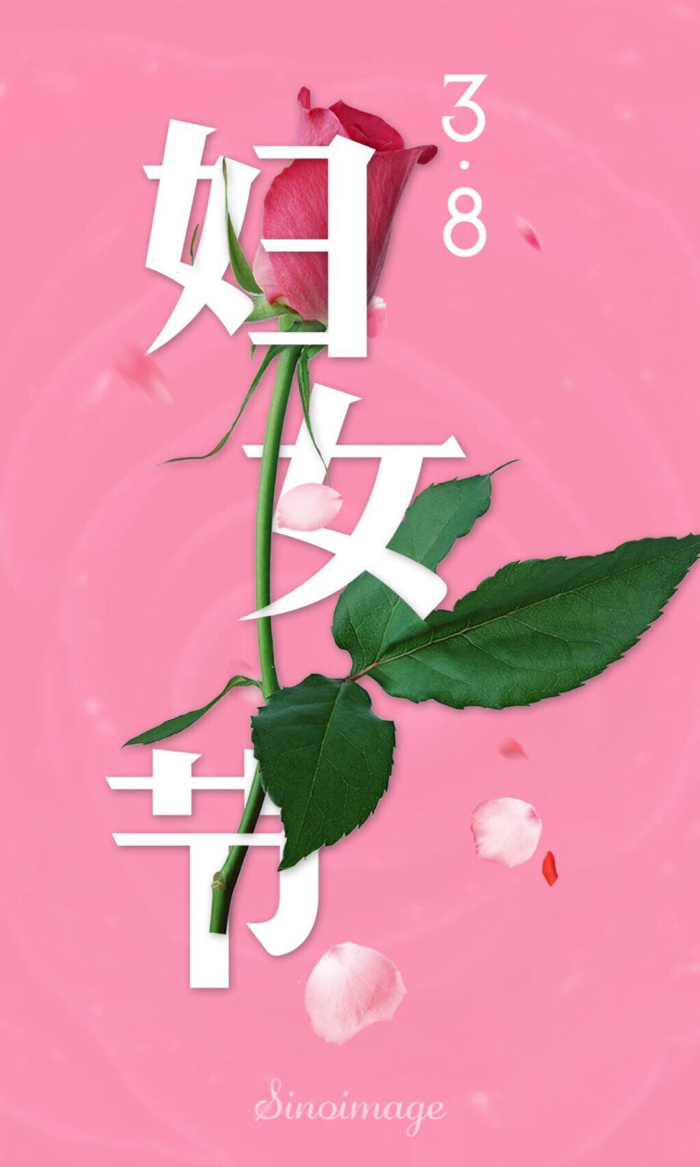 三八节 女神节 壁纸 素材