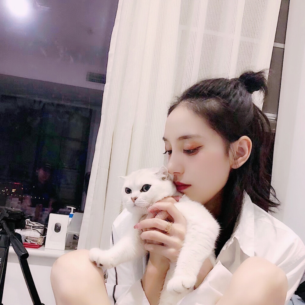 野洵 宠物头像
喜收藏 禁二传。