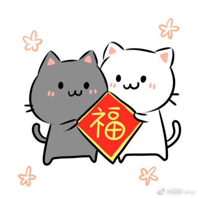 两只猫的小日子