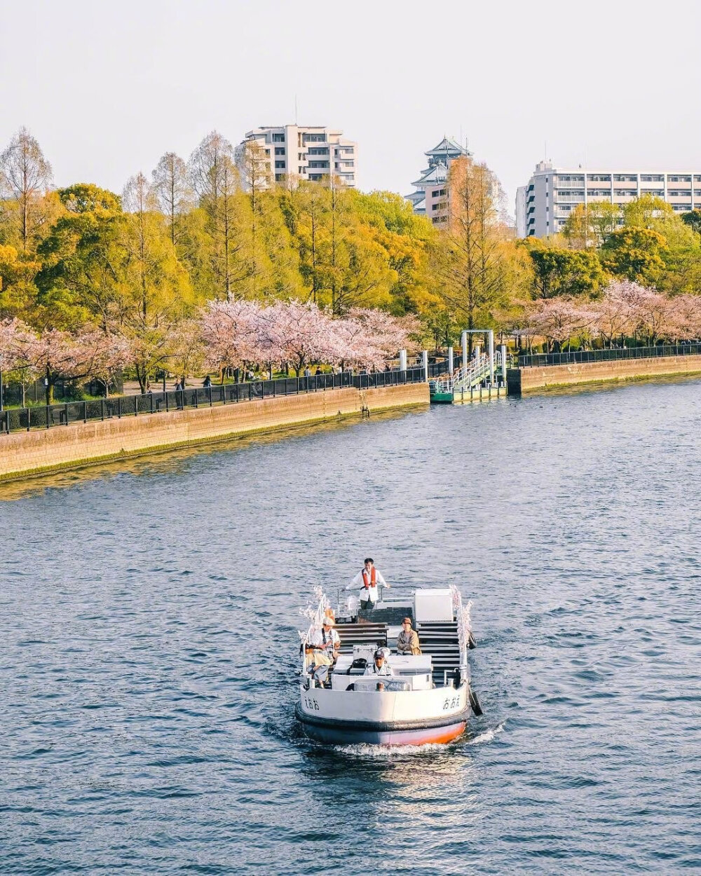 日本春日气息