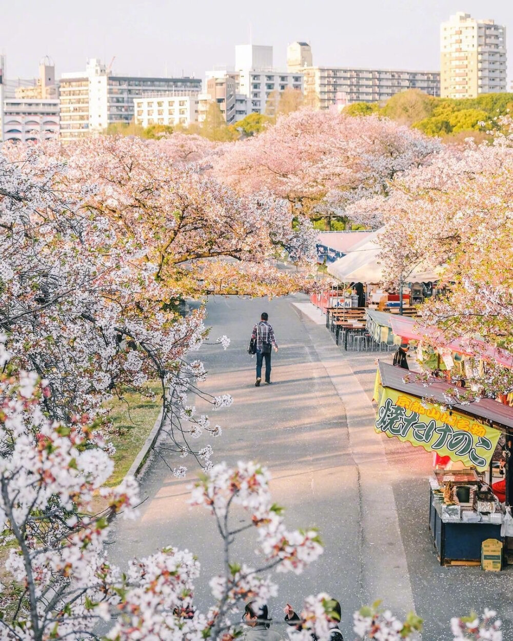 日本春日气息